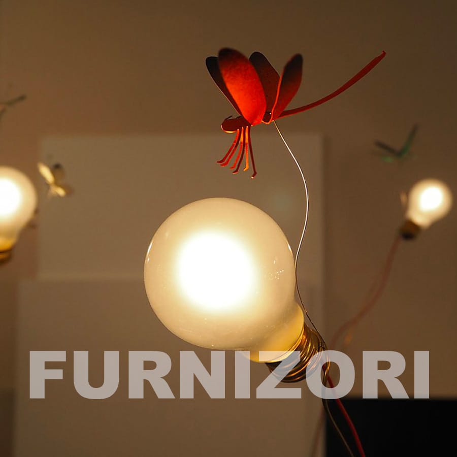 Parteneri și furnizori iluminat